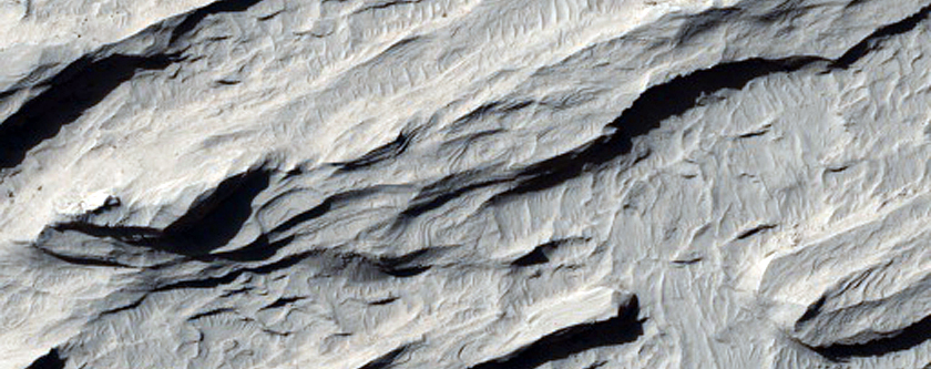 Sinuous Ridges in Zephyria Region