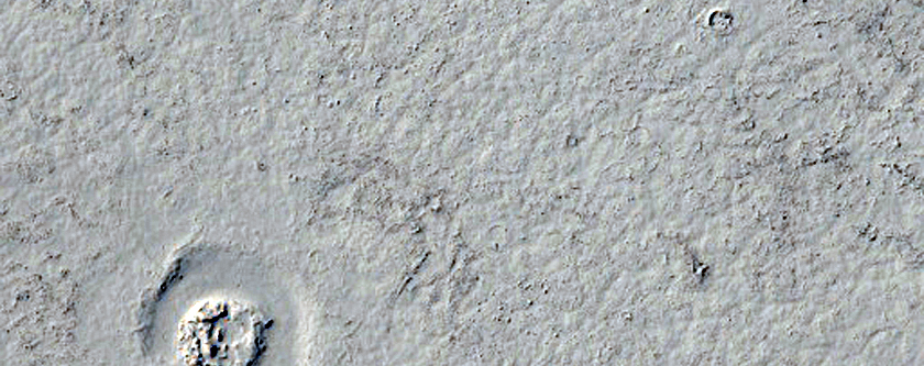 Lava Flow Contacts in Elysium Planitia