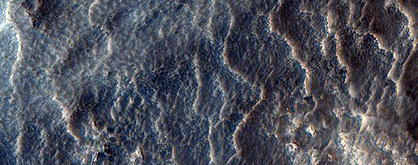 Possible Phyllosilicates near Lyot Crater