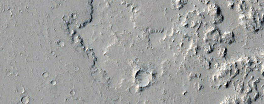 Lava Flow Margins in Amazonis Planitia