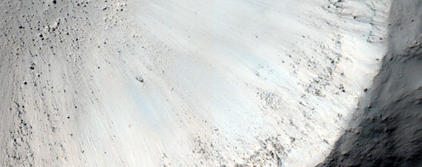 Crater with Mass Movement Debris and Aeolian Bedforms in Terra Cimmeria