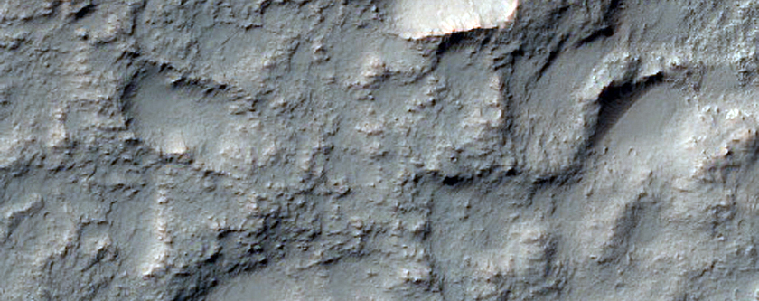 Possible Phyllosilicate-Rich Region in Terra Sirenum