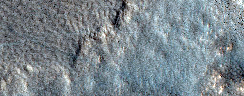 Northern Plains Terrain
