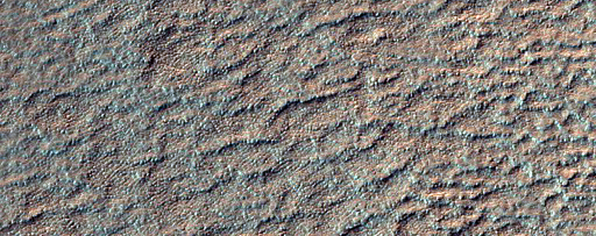 Crater Remnant in Hellas Planitia