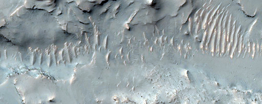 Layered and Pitted Outcrops in Bouguer Crater