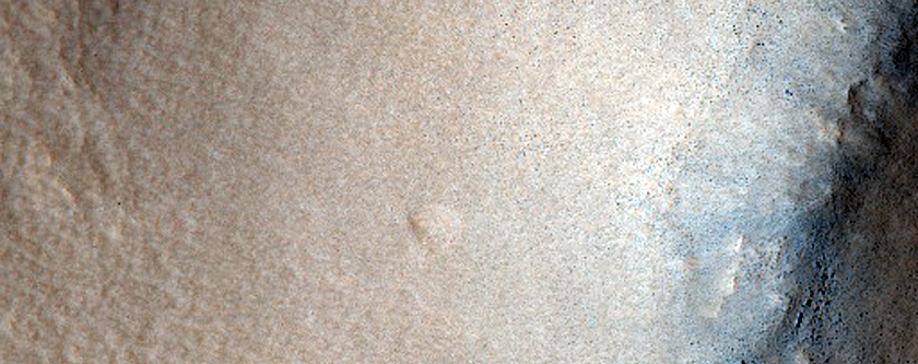 Northern Plains Terrain