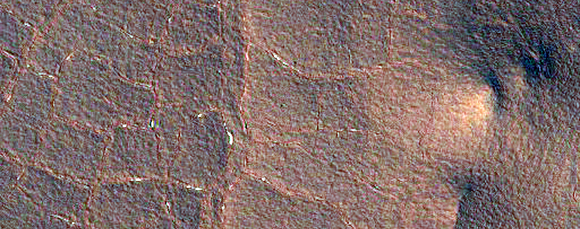 Polygonal Cracks inside a Crater