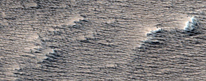 Candidate Fresh Impact Site Formed between July 2004 and January 2009