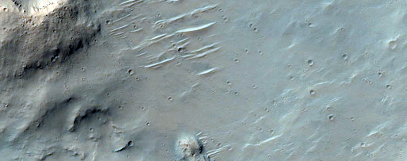 Central Uplift of a Large Impact Crater