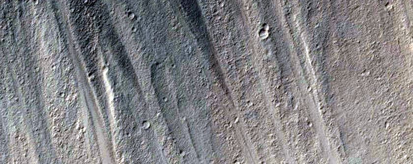 Gullies with Bright Deposits in Poynting Crater