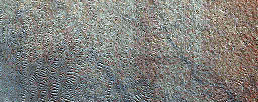 Polar Crater with Summer Ice