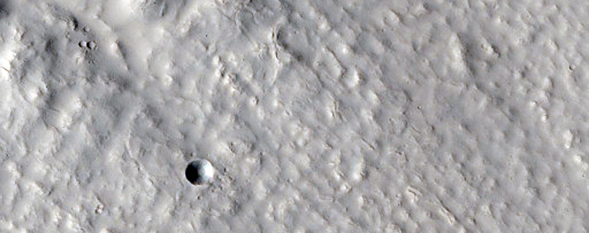 Gullies on Crater Wall