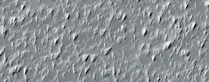 Lava Flows in Daedalia Planum