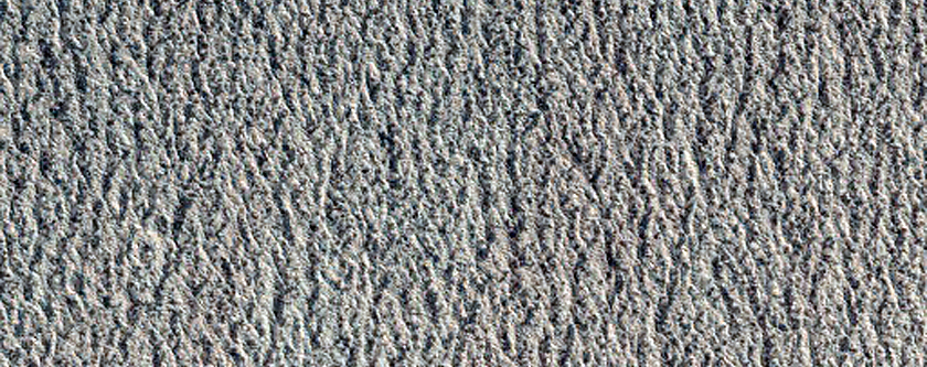 Area of Increased Carbon Dioxide Ice in Northern Spring