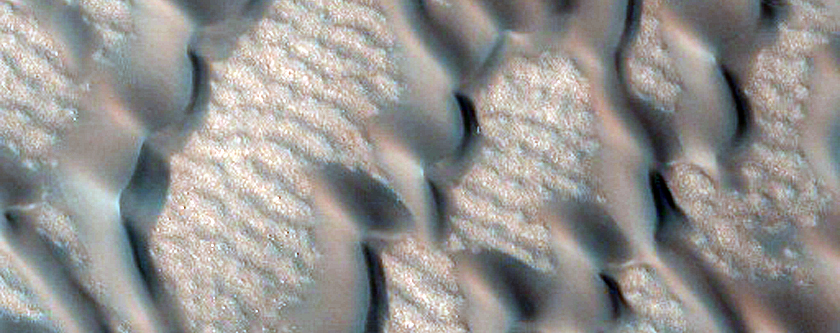 Polygonal Ground with Bedforms