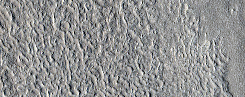 Knobs in Arcadia Planitia