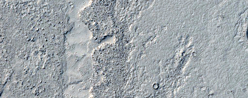 Diverse Lava Morphologies in Elysium Planitia