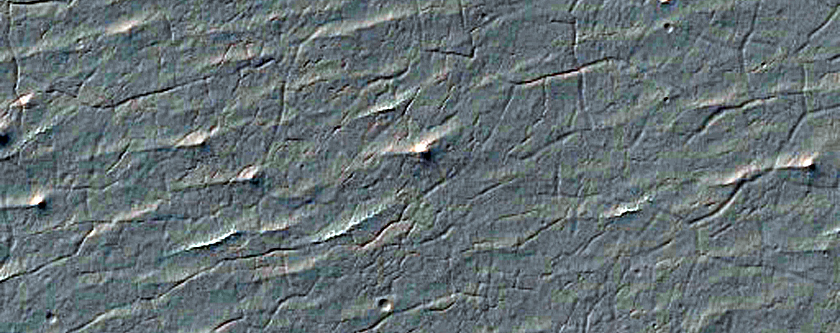 Fans in Unnamed Crater Southeast of Holden Crater