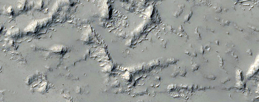 Unusual Surface Structure in Daedalia Planum
