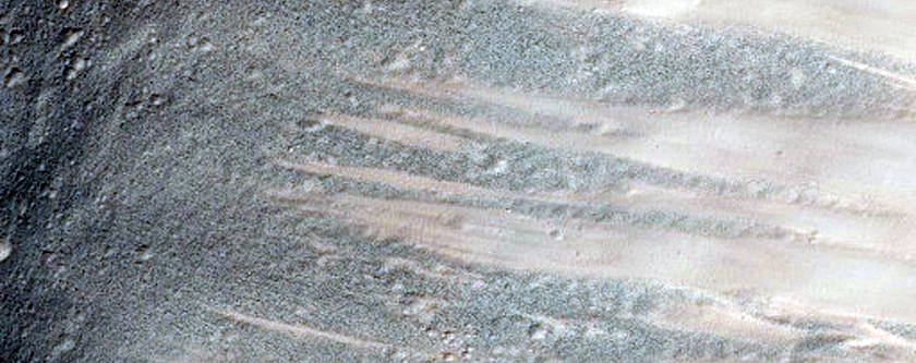 Monitor Crater Slopes for Mass Wasting