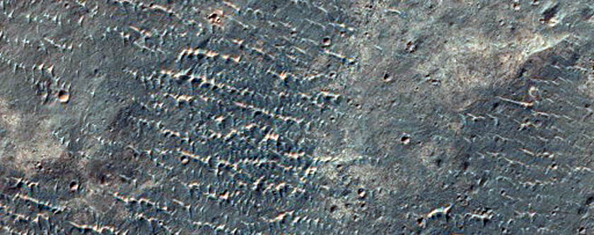 Possible Phyllosilicates in Margaritifer Terra