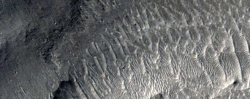 Rocky Mesas in Western Elysium Planitia