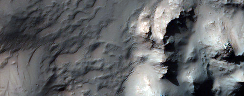 Bright Gully Deposits on Terraces in Hale Crater