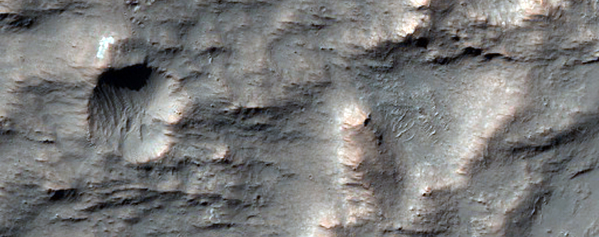 Possible Olivine Rich Patch in Crater
