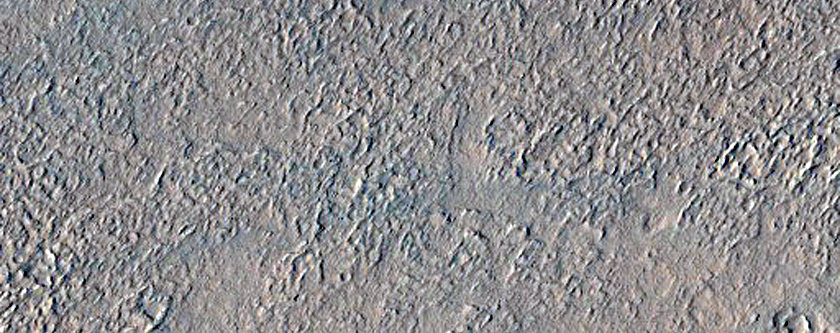 Knobs and Platy Flows near the Erebus Montes