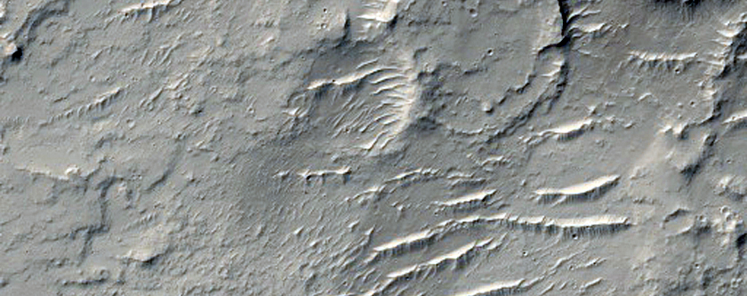 Floor of Crater with Input Valley