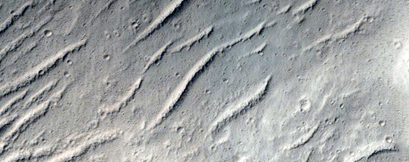 Central Uplift of an Impact Crater