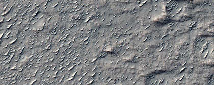 Wrinkle Ridge between Terra Sirenum and Daedalia Planum
