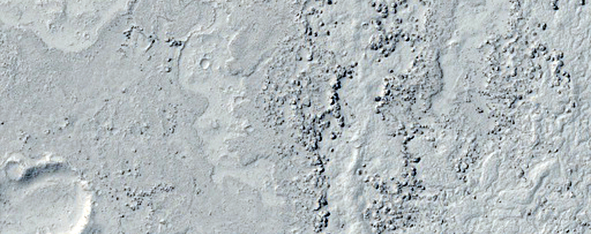 Diverse Lava Morphologies in Elysium Planitia