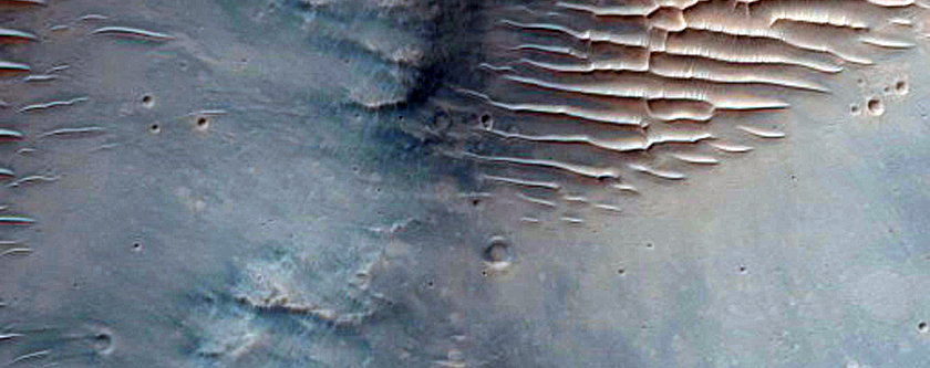 Central Uplift of a Large Impact Crater