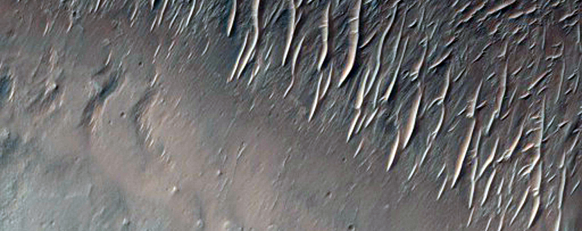 Possible Phyllosilicates in Her Desher Vallis