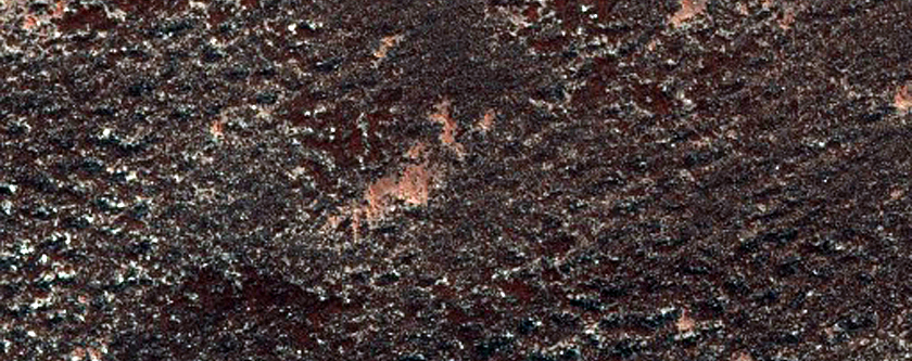 North Polar Region