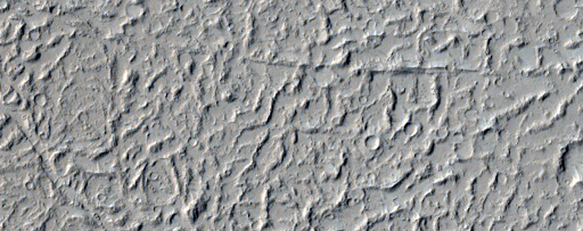 Flow Features in Amazonis Planitia