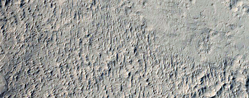 Valley Cut Into Lucus Planum