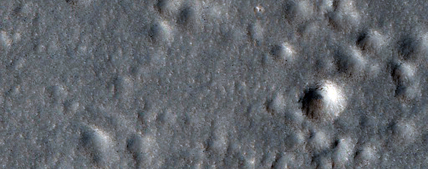 Secondaries From 12-Kilometer Diameter Impact Crater