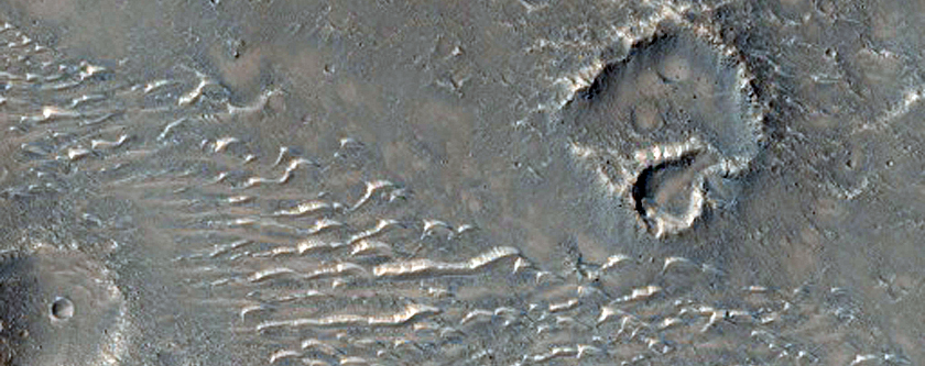 Ridges Bounded by Troughs or Scarps in Southern Utopia Planitia