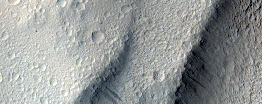 Sampling the Furrows and Ridges of Lycus Sulci