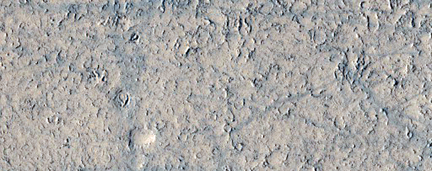 Knobs and Platy Flows near the Erebus Montes