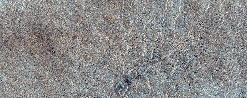 Crater Rim in Tantalus Fossae