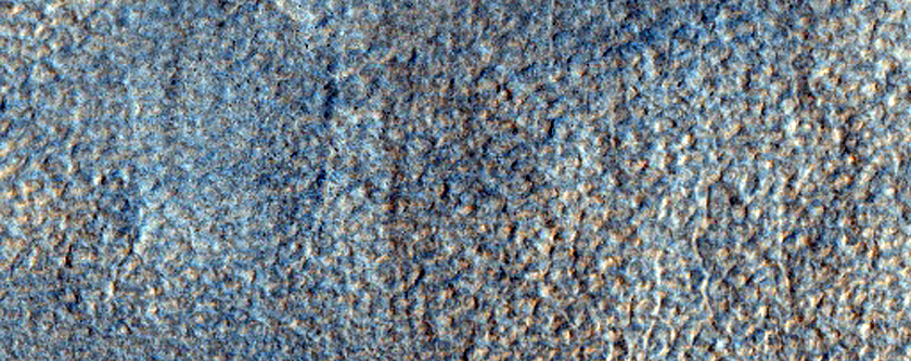 Northern Plains Terrain
