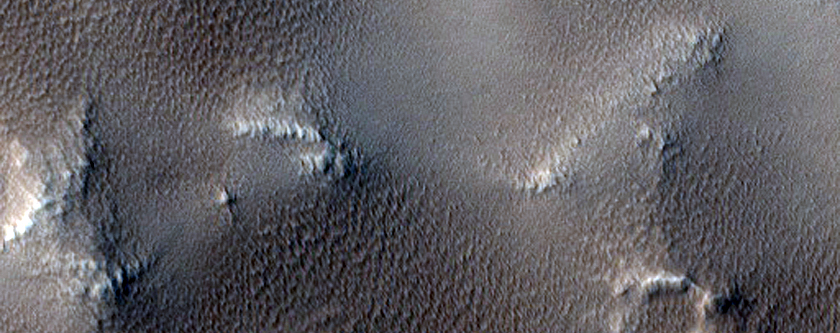 Troughs in Elysium Region