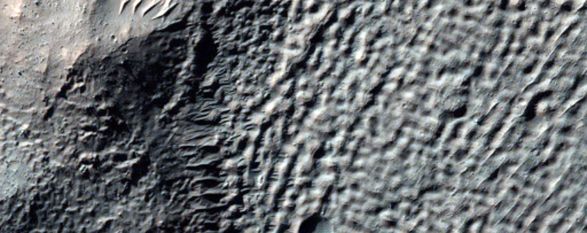Gullies in Southern Crater