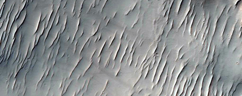 Exposure of Layered Bedrock