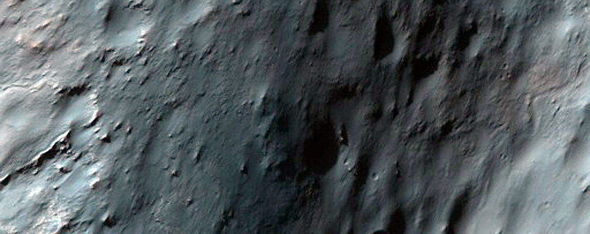 Candidate MSL Landing Site in West Holden Crater