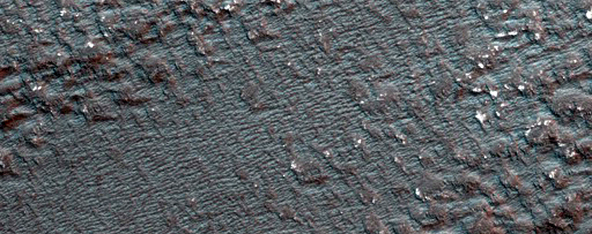 Sustained Bright Patches at Margins of North Polar Layered Terrain