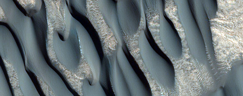 Sustained Bright Patches at Margin of North Polar Layered Terrain